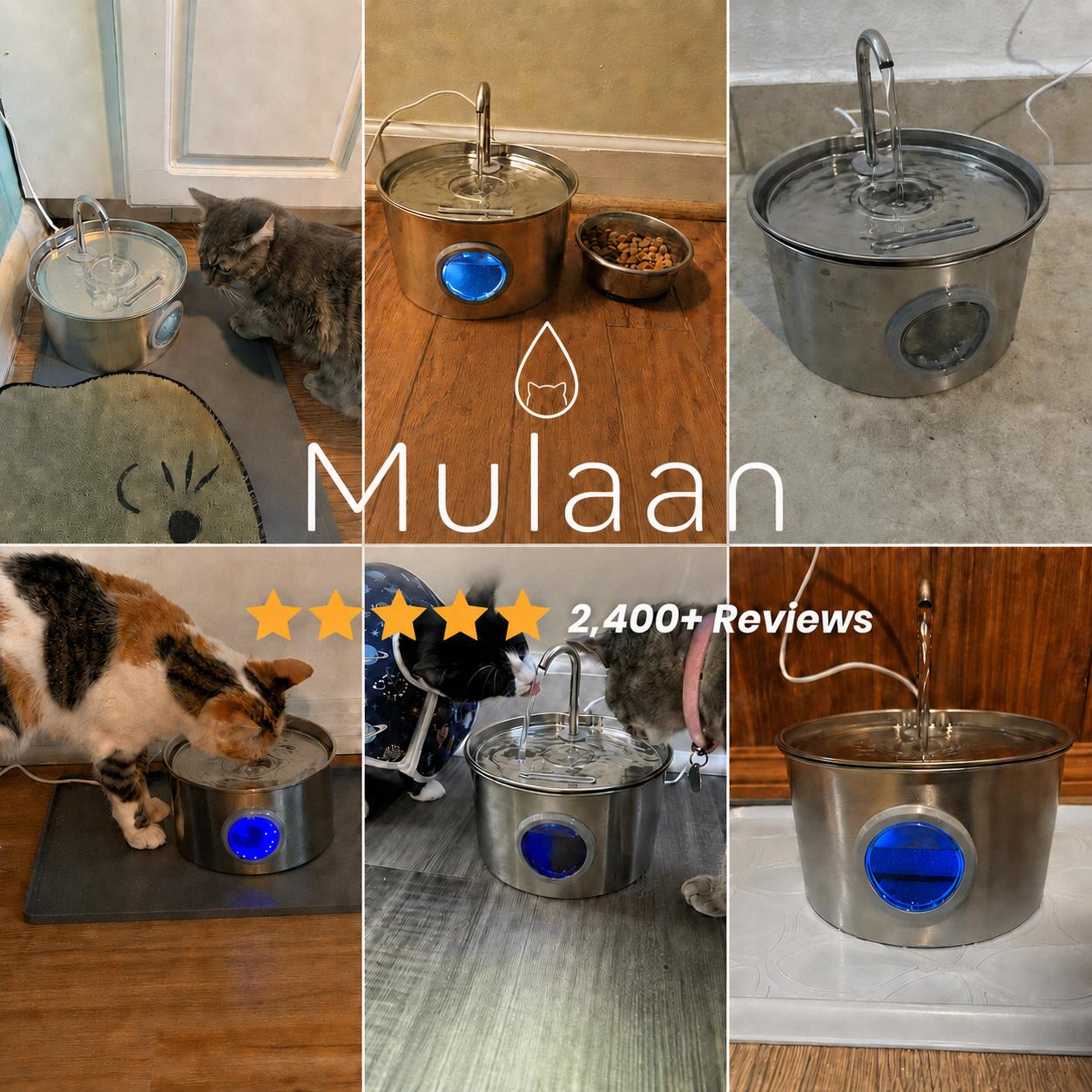 The 3.2L Stainless Steel Cat Fountain That Keeps Water Fresh for Up to 7 Days